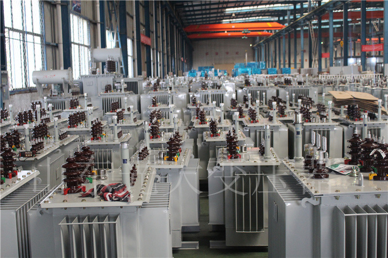 西盟S22-800KVA/10KV